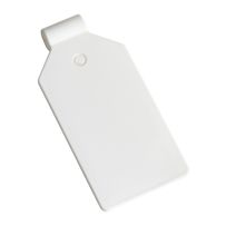 morepic-1