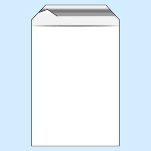Torebki z klapką, folia PE 300 x 400 mm  | 50 µm