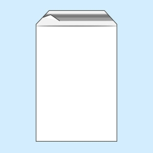 Torebki z klapką, folia PE 80 x 120 mm  | 50 µm