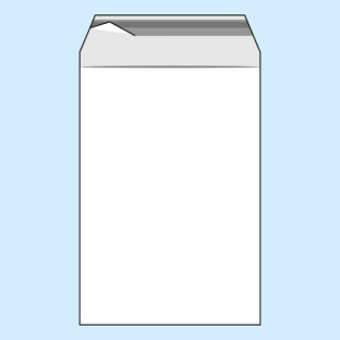 Torebki z klapką, folia PE 105 x 150 mm  | 50 µm