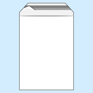 Torebki z klapką, folia PE 119 x 162 mm | 50 µm