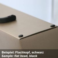 morepic-3