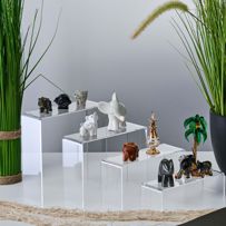 morepic-4